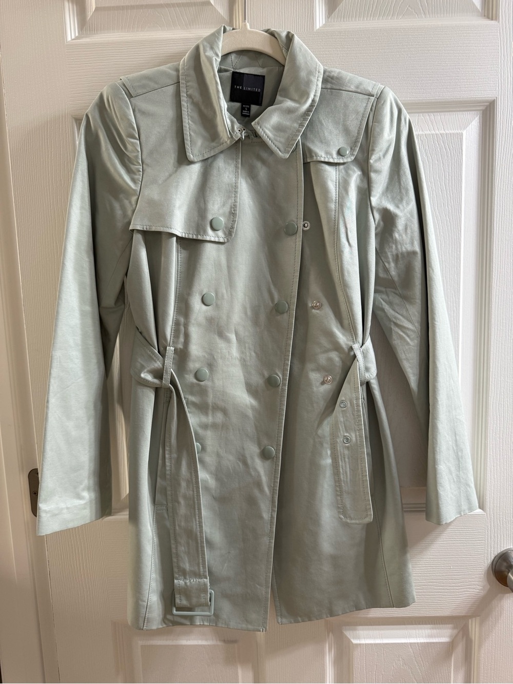 The Limited Mint Green Double-Breasted Trench Coat